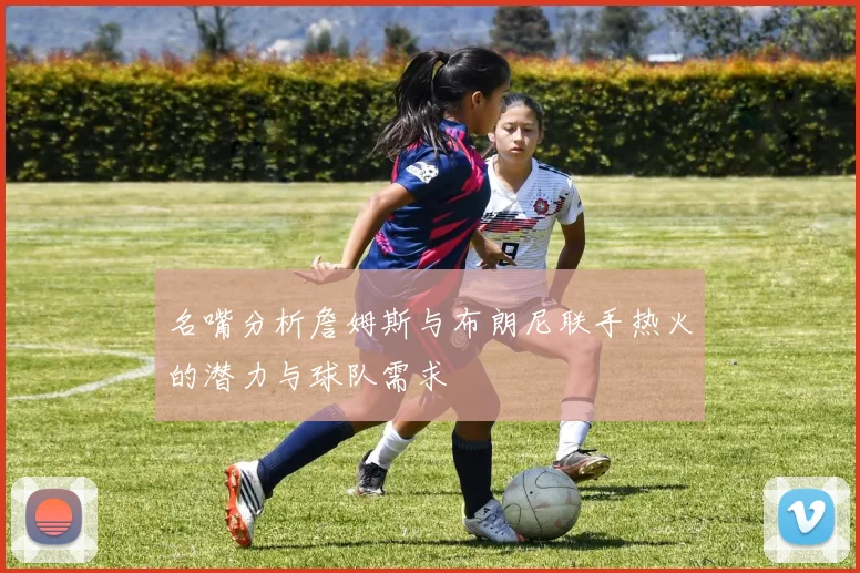 名嘴分析詹姆斯与布朗尼联手热火的潜力与球队需求